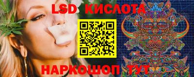 шишки Заволжье