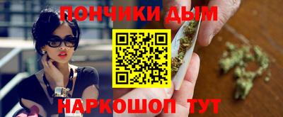 шишки Заволжье