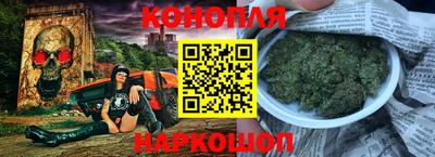 шишки Заволжье