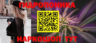 шишки Заволжье