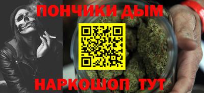 шишки Заволжье