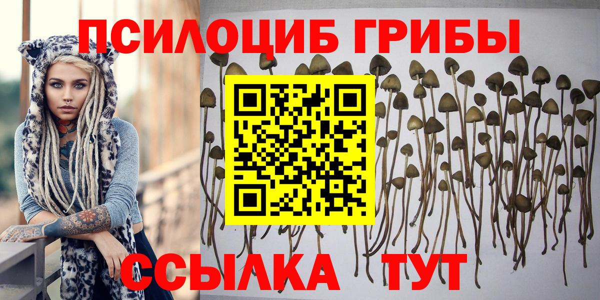 Люберцы  Псилоцибиновые грибы прущие грибы  Галлюциногенные грибы Psilocybine cubensis  Вход с VPN 